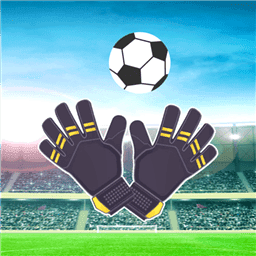 Goalkeeper - World Challenge