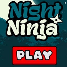 Night Ninja