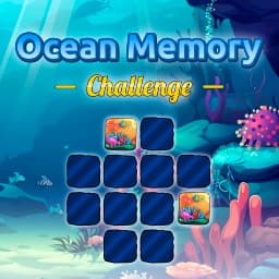 Ocean Memory Challenge