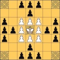 Tafl Viking Chess